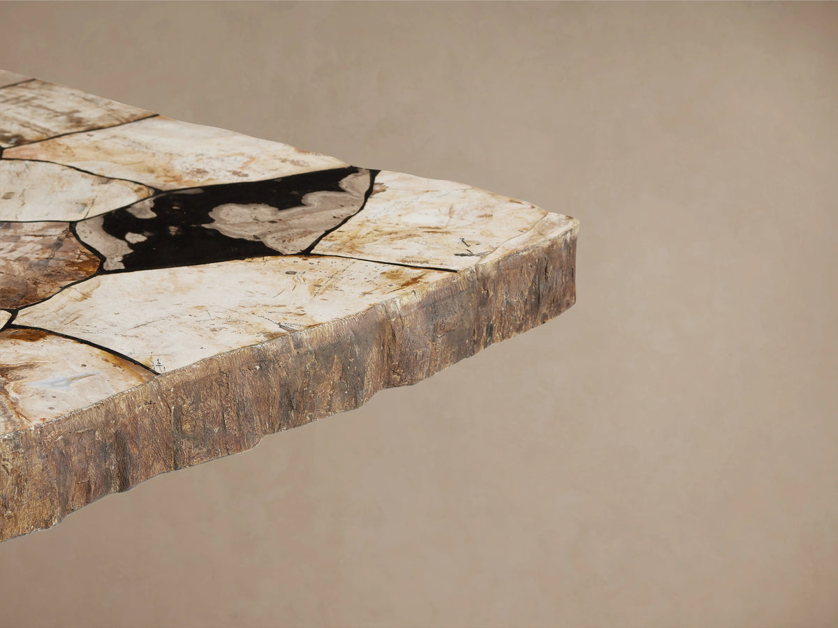 Petrified wood dining table with mosaic surface, artisan-finished iron base in dark grey, set on wooden floor against neutral wall.
