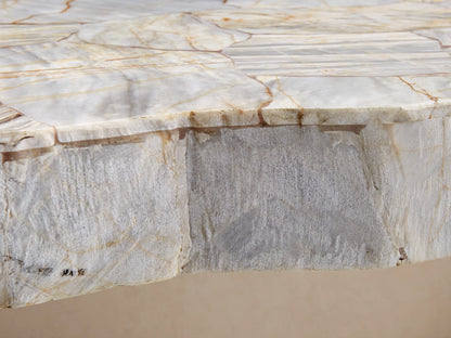 Petrified wood tabletop featuring natural stone texture, showcasing gray, beige, and subtle gold veins, with polished finish.