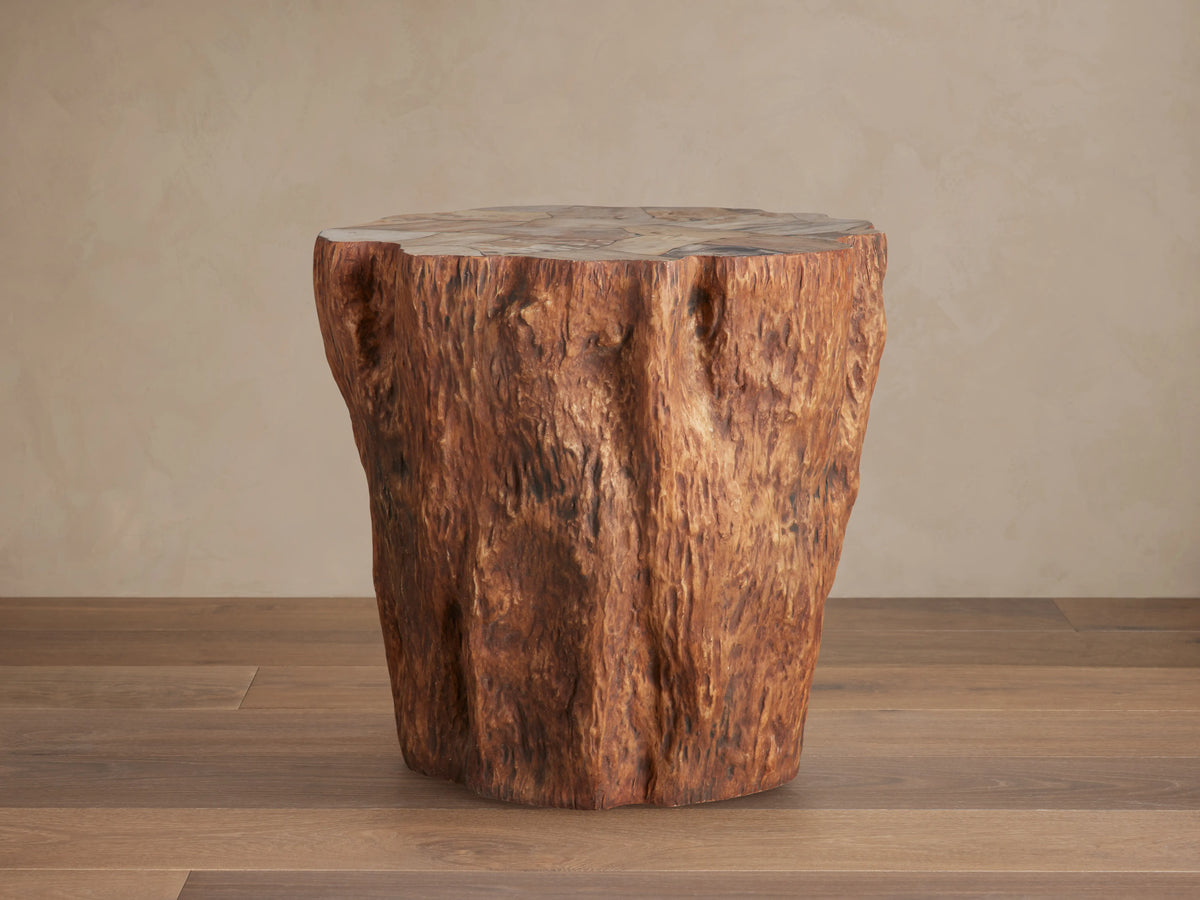 Clayhill Tapered End Table made of petrified wood with a textured, natural finish. It has a round top, organic edges, and earthy brown tones.