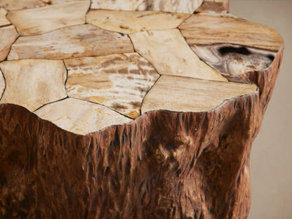 Clayhill Tapered End Table made of petrified wood with a textured, natural finish. It has a round top, organic edges, and earthy brown tones.