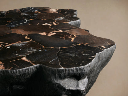 Clayhill Coffee Table with irregular, abstract shapes in dark brown and black tones, featuring natural, glossy petrified wood.