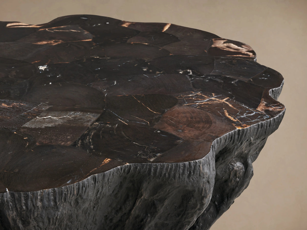 Clayhill Coffee Table in dark petrified wood, showing unique organic texture and irregular shape, set on wooden floor.