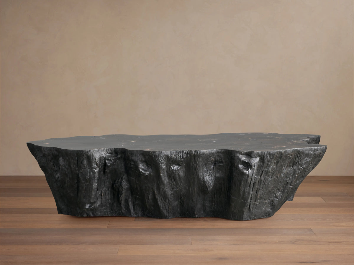 Clayhill Coffee Table in Black Petrified Wood