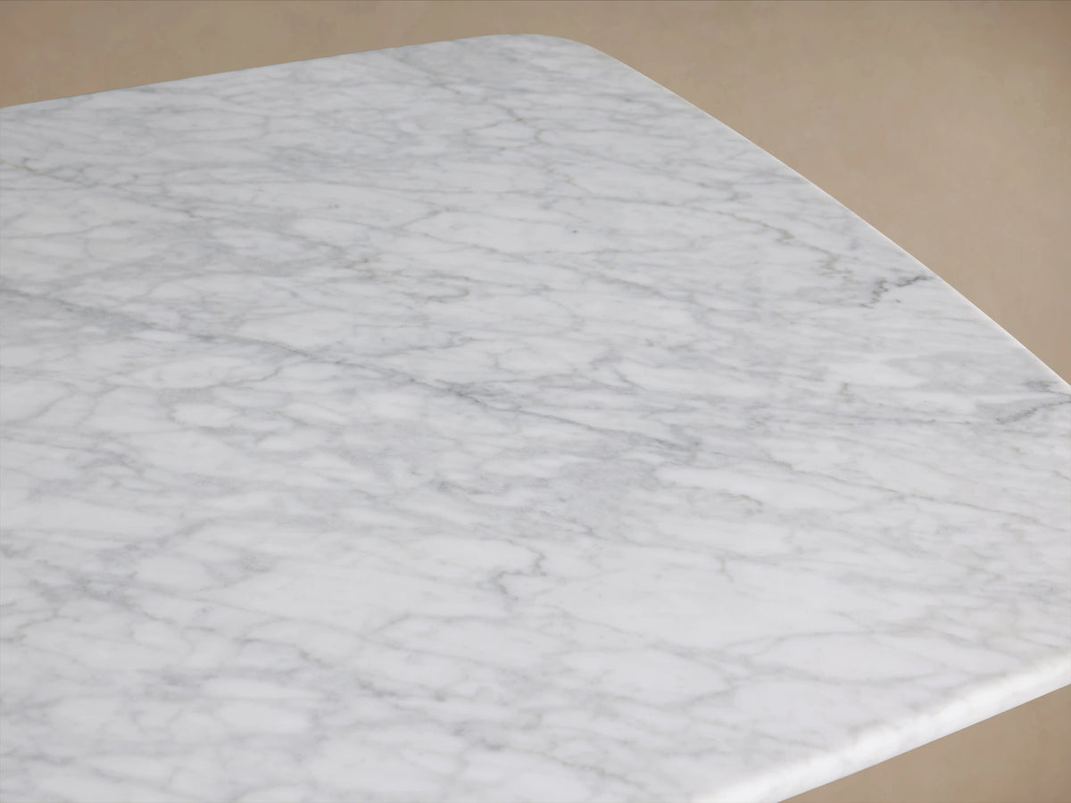 Marble coffee table with rectangular top and rounded corners, resting on two curved ebony wood bases on wooden floor.