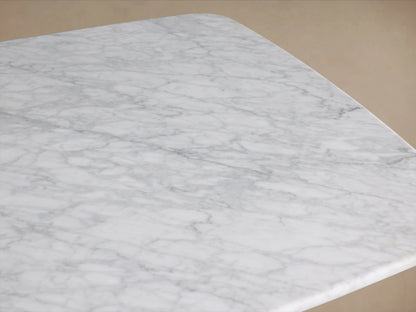 Marble coffee table with rectangular top and rounded corners, resting on two curved ebony wood bases on wooden floor.
