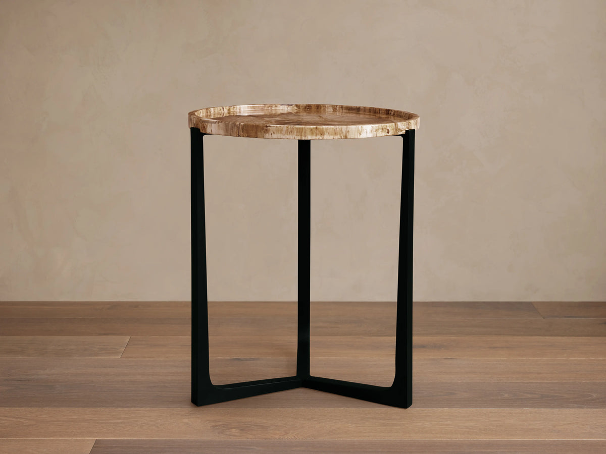 Layne Tray Table featuring a round petrified wood top with raised edges on a matte black iron base; set on a wooden floor.