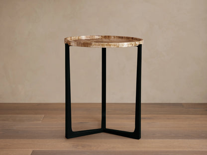 Layne Tray Table featuring a round petrified wood top with raised edges on a matte black iron base; set on a wooden floor.