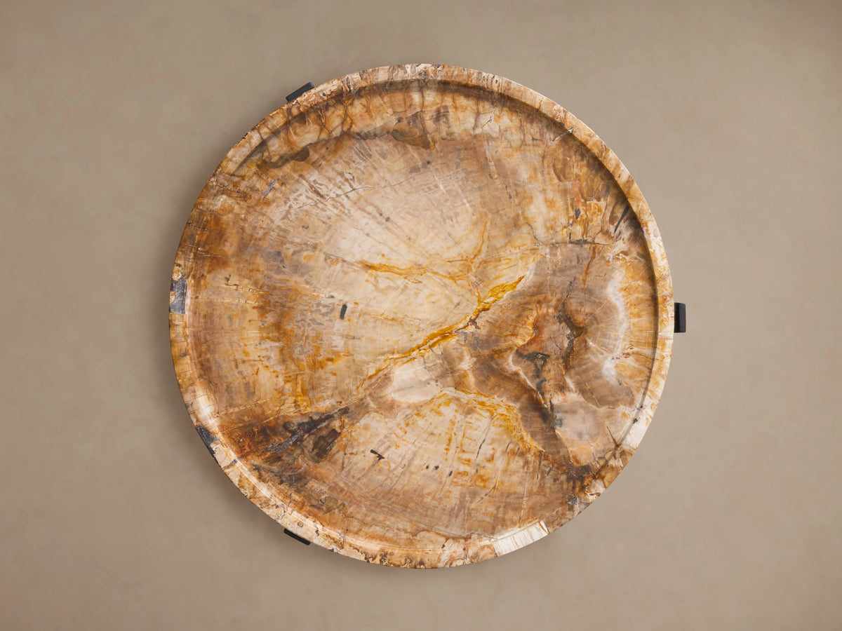 Round Layne Tray Table top made from petrified wood, featuring natural wood grain patterns, raised edge, on neutral background.