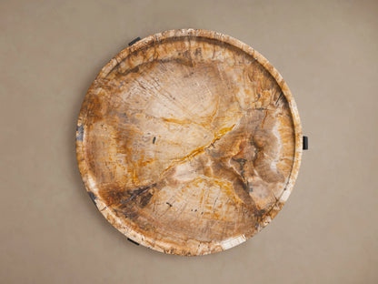 Round Layne Tray Table top made from petrified wood, featuring natural wood grain patterns, raised edge, on neutral background.