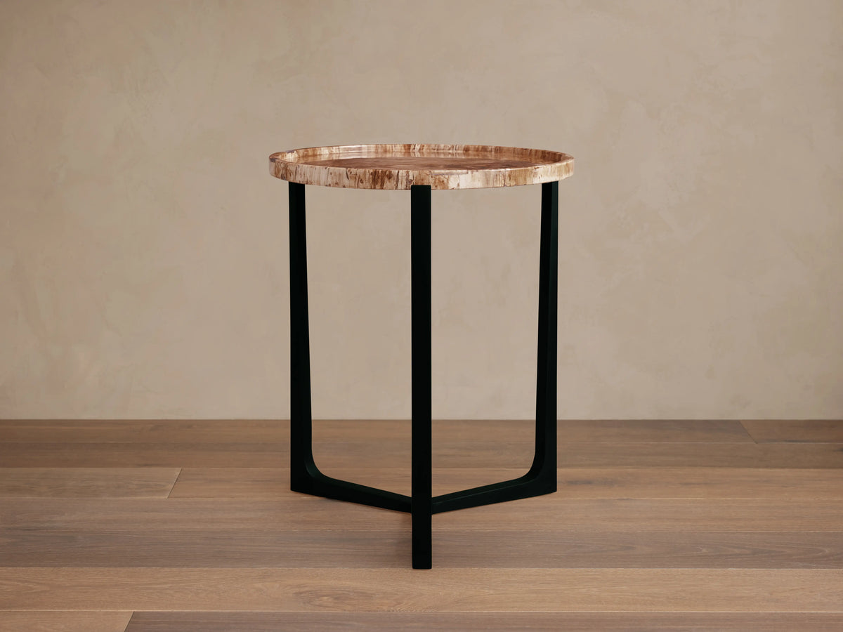 Layne Tray Table with round petrified wood top and raised edge on black iron base. Located on wooden floor against beige wall.
