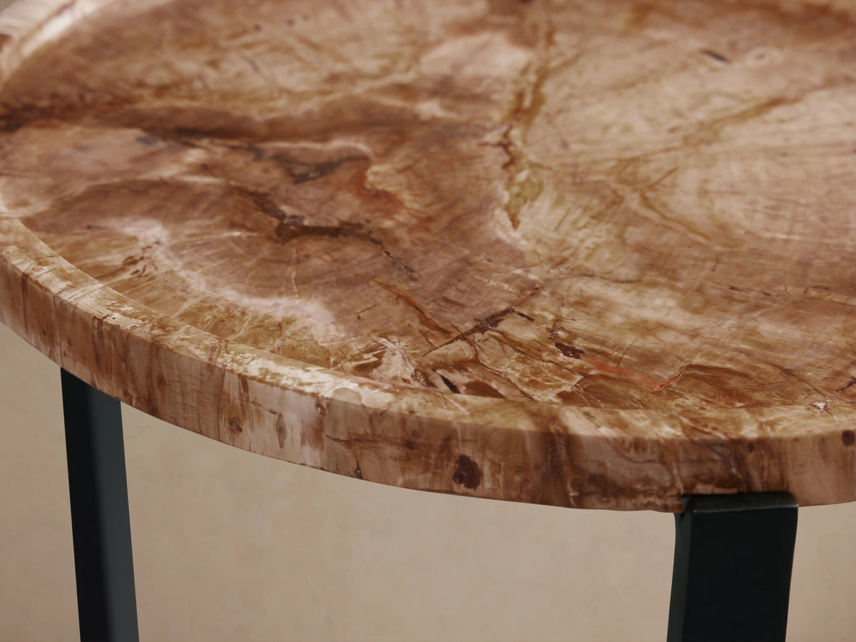 Layne Tray Table with round petrified wood tabletop featuring brown tones and unique patterns, supported by matte black iron legs.