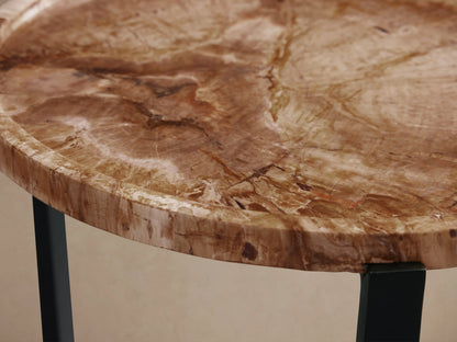 Layne Tray Table with round petrified wood tabletop featuring brown tones and unique patterns, supported by matte black iron legs.