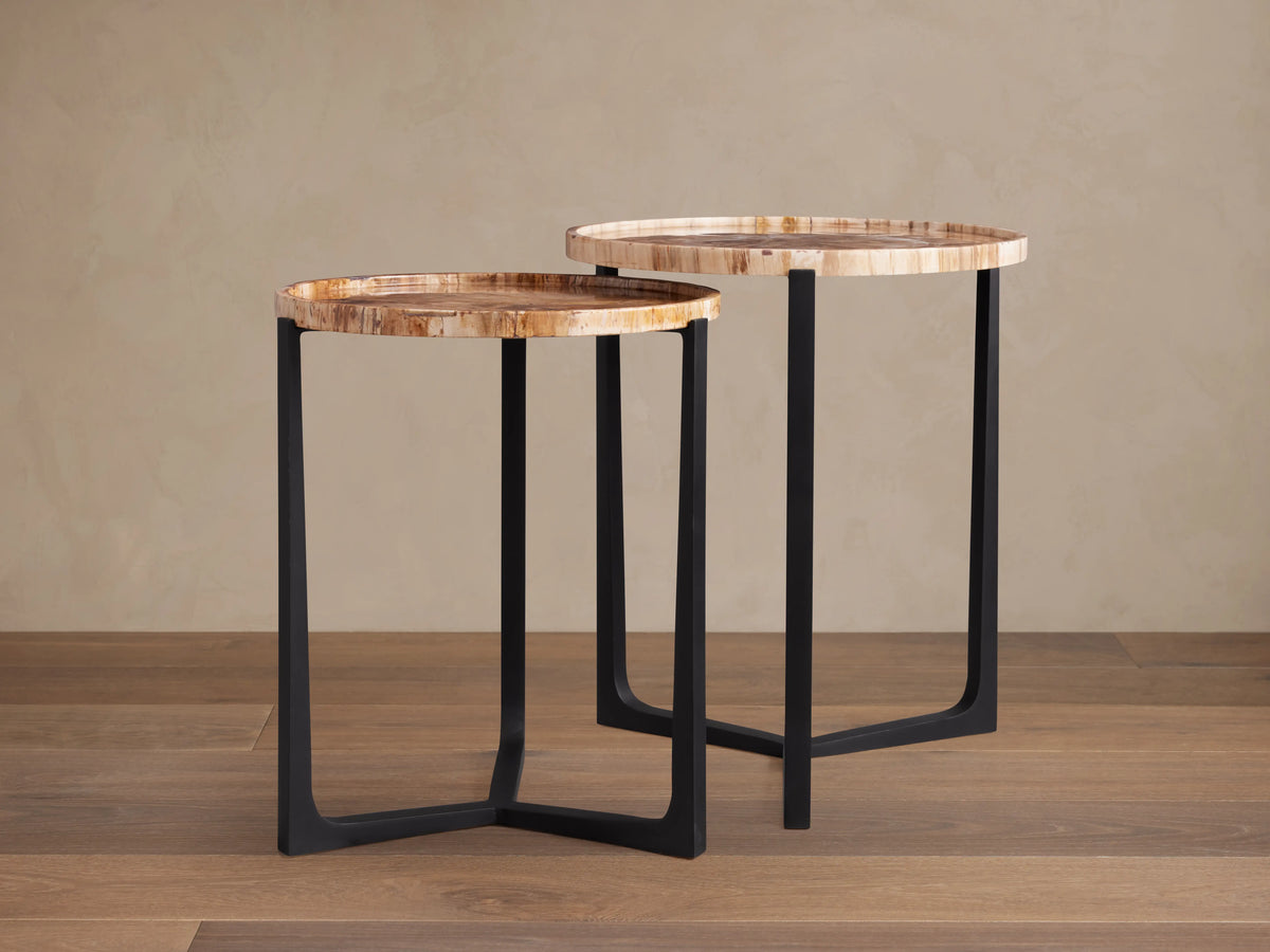 Two Layne Nesting Tray Tables with petrified wood tops and matte black iron bases on a wooden floor background.
