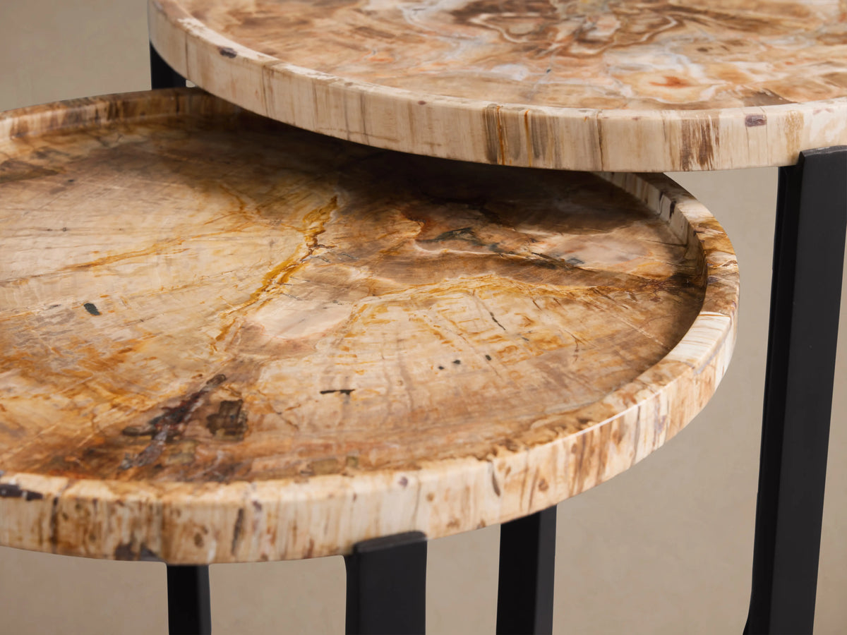 Two Layne Nesting Tray Tables with petrified wood tops and matte black iron bases on a wooden floor background.
