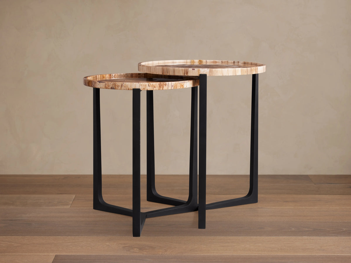 Two Layne Nesting Tray Tables with unique petrified wood tops showing natural rings, resting on matte black iron bases.