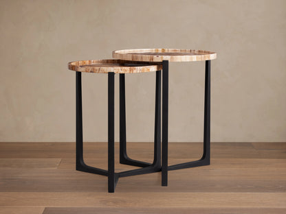 Two Layne Nesting Tray Tables with unique petrified wood tops showing natural rings, resting on matte black iron bases.