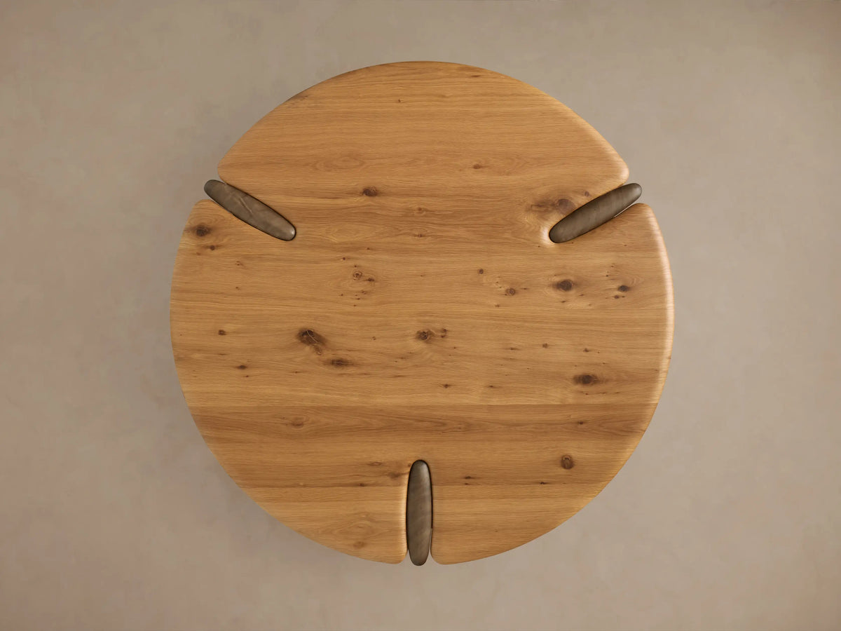 Nolito Coffee Table close-up. Rounded golden-brown wooden top & lower shelf with darker, curved support piece.