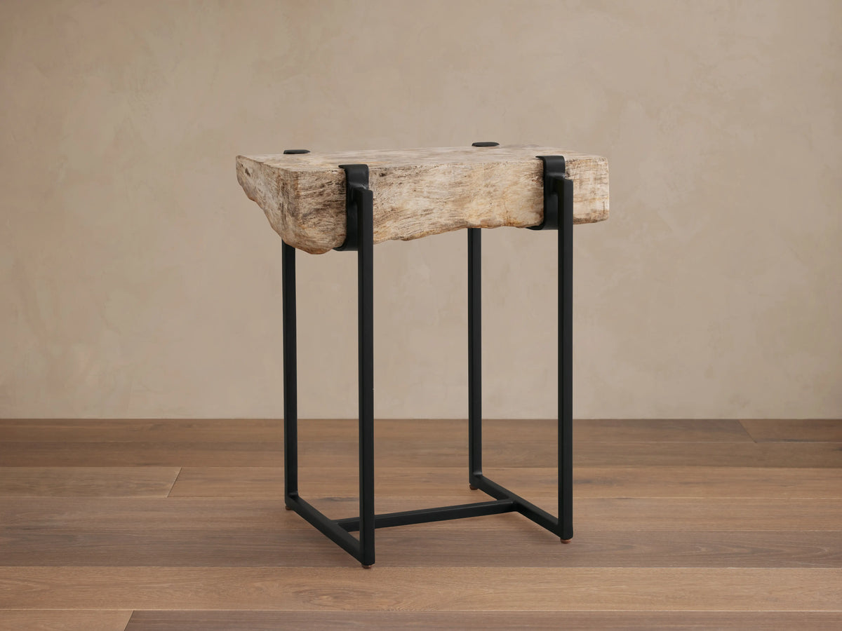 Saddle Martini Table with a unique petrified wood top, showcasing natural textures. Black iron base, rectangular design on wood floor.