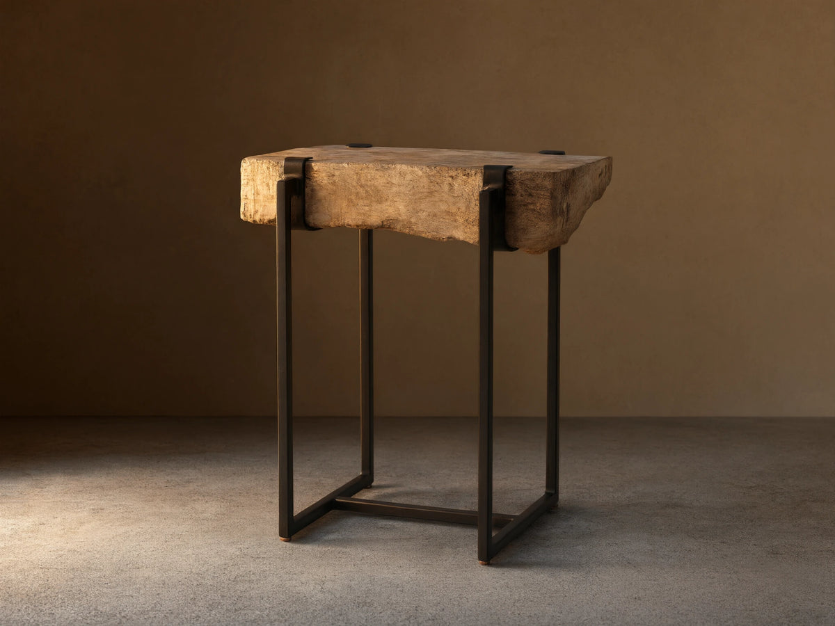 Saddle Martini Table with a unique petrified wood top, showcasing natural textures. Black iron base, rectangular design on wood floor.