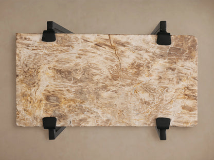 Saddle Martini Table with a polished, textured slab of petrified wood atop a sleek, black iron base on a wooden floor.