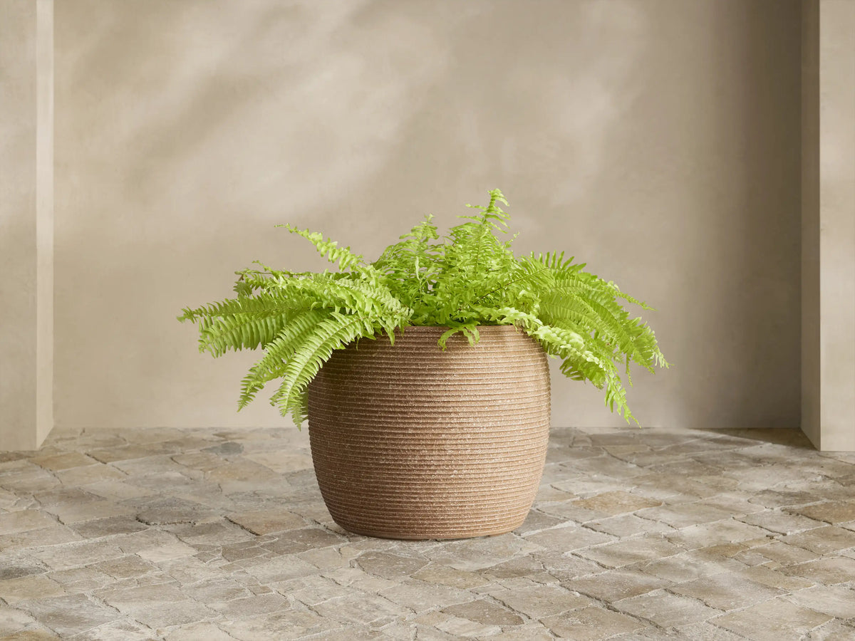 Medium brown ribbed Ojai Outdoor Planter, filled with bright green fern, sits on a stone patio against a light wall.