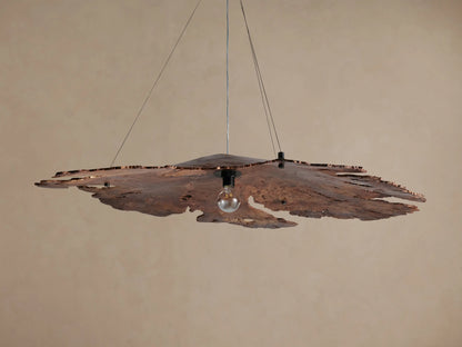 Arruga Chandelier, an organic, irregularly shaped dark brown wood slice with natural edges, hangs with a single clear bulb.