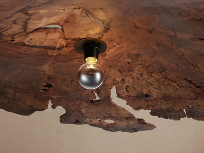 Arruga Chandelier. Organic, dark brown milpa wood dome with irregular edges, a clear bulb hanging from its center.