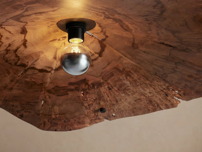 Arruga Chandelier: Organic, reddish-brown wood slice chandelier with exposed globe bulb, suspended by thin cables against a beige wall.