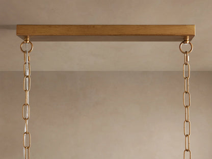 Close-up of Lunaria Linear Chandelier, delicate white pods on textured gold branches against a dark background.