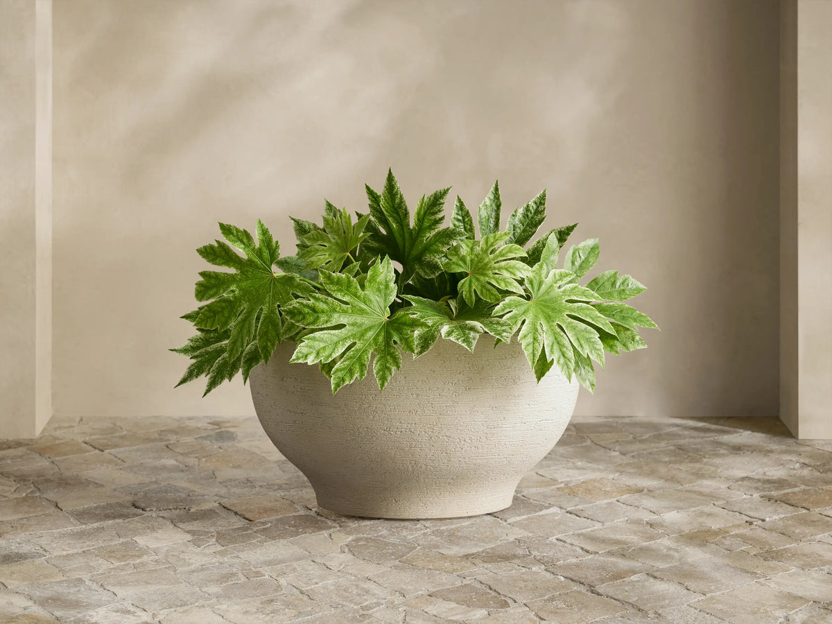 Como Outdoor Planter, round textured pumice-colored, filled with vibrant green variegated plant, on stone tile.