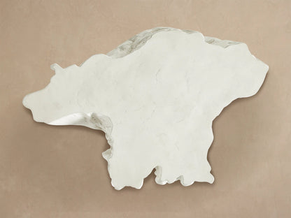 Close-up of bleached concrete root coffee table with smooth top, organic edges, and rough-textured sides.