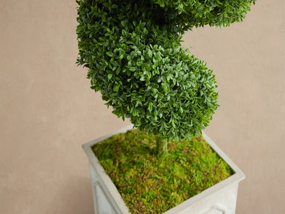 Boxwood Spiral Topiary, a tall green faux plant with a spiral shape, in a light gray square planter. Beige wall & stone floor.