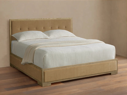 Darien Box-Tufted Panel Bed